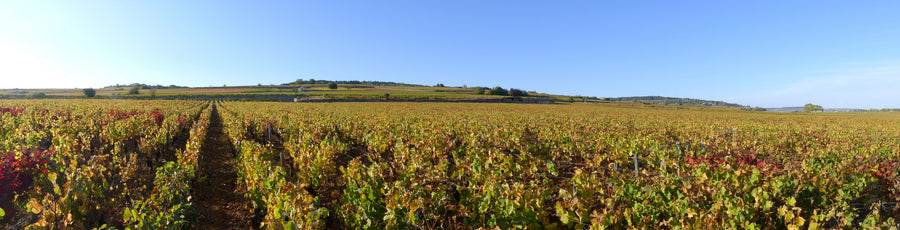 Bourgogne