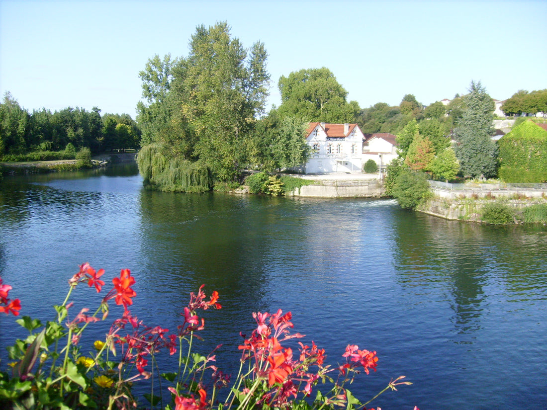 Cognac / Charente