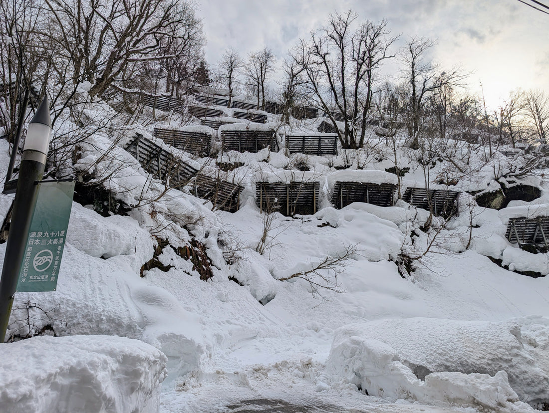 Niigata