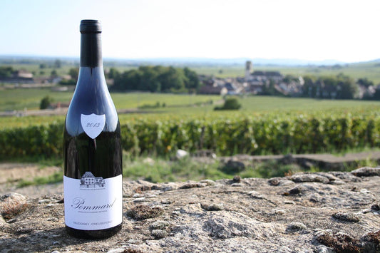 Domaine Vaudoisey Creusefond: l'anima autentica della Borgogna raccontata attraverso il vino