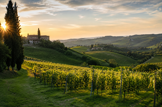Confinis Francesco Rotolo: il Friuli contemporaneo raccontato attraverso il vino