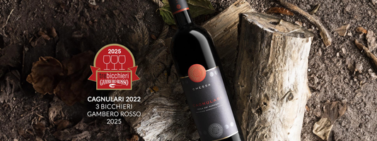 Azienda vitivinicola Giovanna Chessa: identità, territorio e tradizione