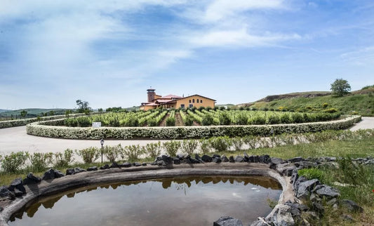 Veduta della tenuta e dei vigneti di Cantine del Notaio, con il laghetto in primo piano