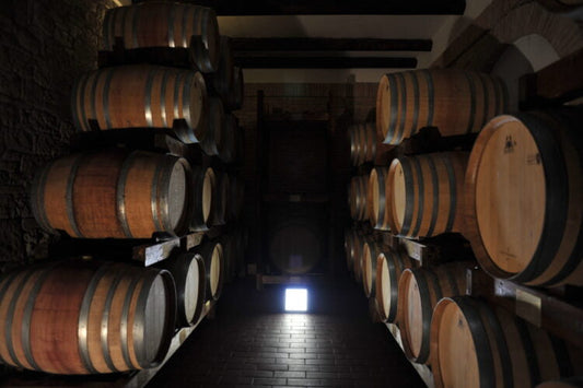 Barricaia della cantina Claudio Cipressi a San Felice del Molise