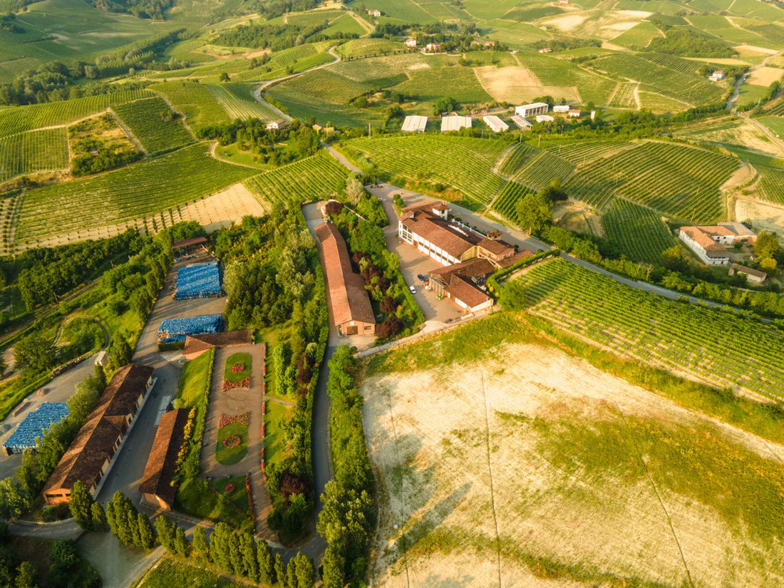Veduta aerea delle Distillerie Berta e del paesaggio vitivinicolo circostante