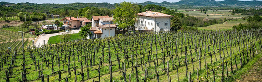 Gradis'ciutta: eleganza e territorio nel Collio friulano