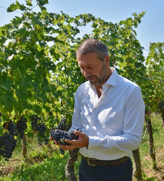 Tenimenti Civa: il nuovo volto del Friuli che racconta l’anima dei Colli Orientali