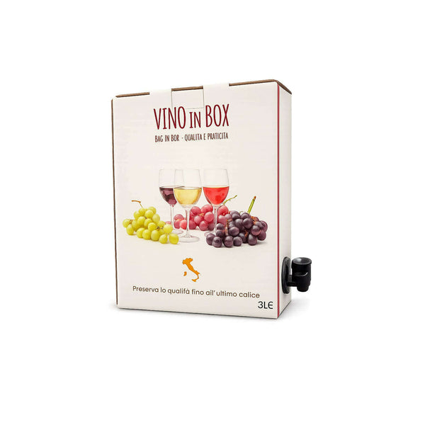 Tenuta Viglione Bag In Box Vino Rosato 11,5% Vol. 3 Litri