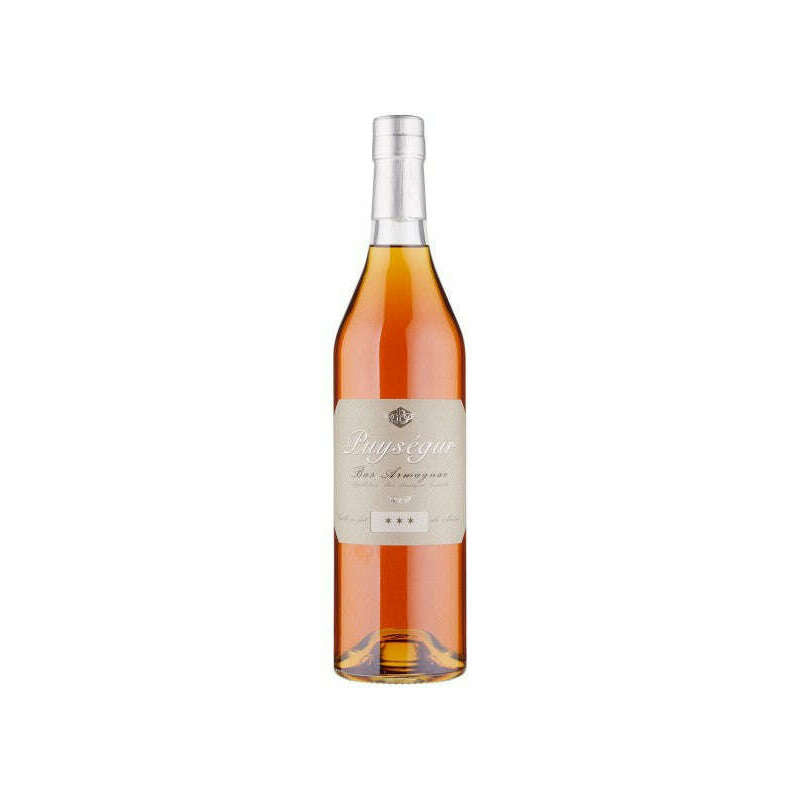 BAS ARMAGNAC PUYSEGUR (70CL, 40% Vol.)