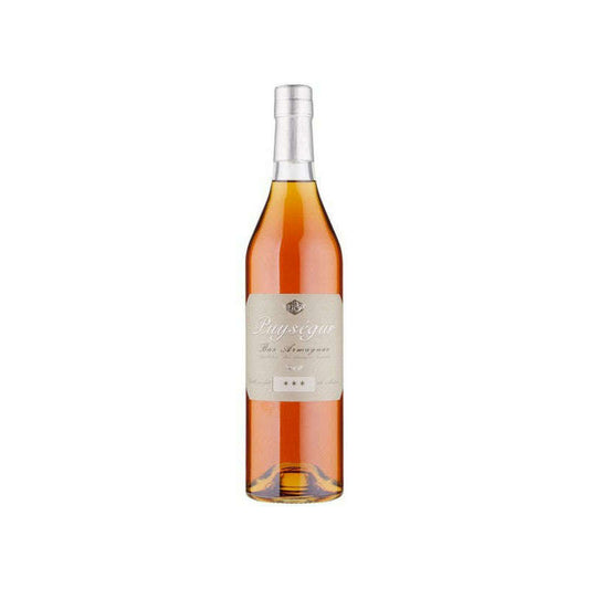 BAS ARMAGNAC PUYSEGUR (70CL, 40% Vol.)