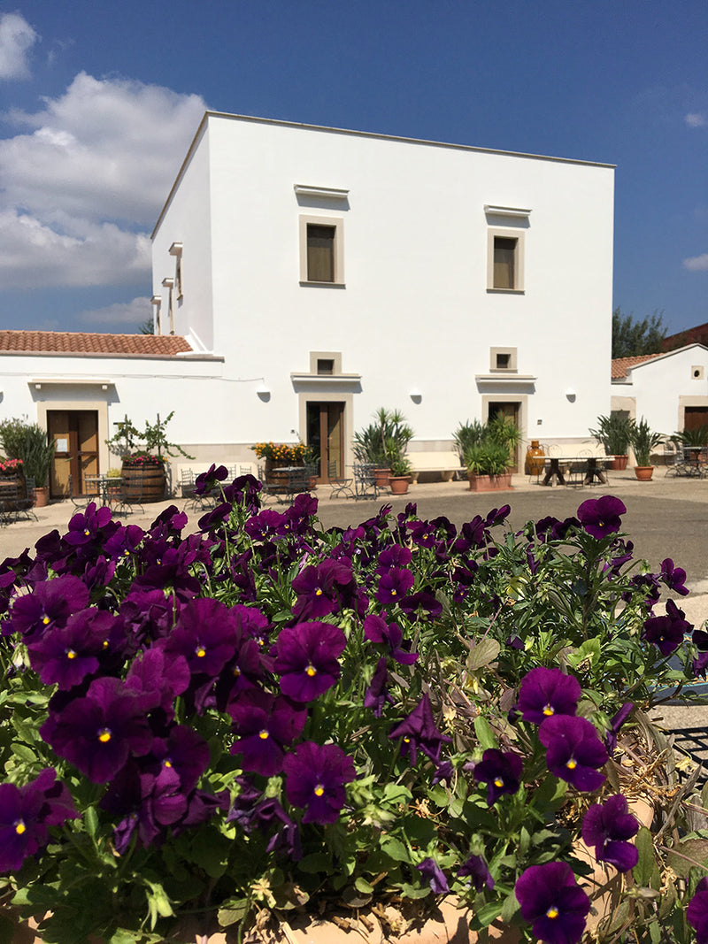 Cantine Torrevento
