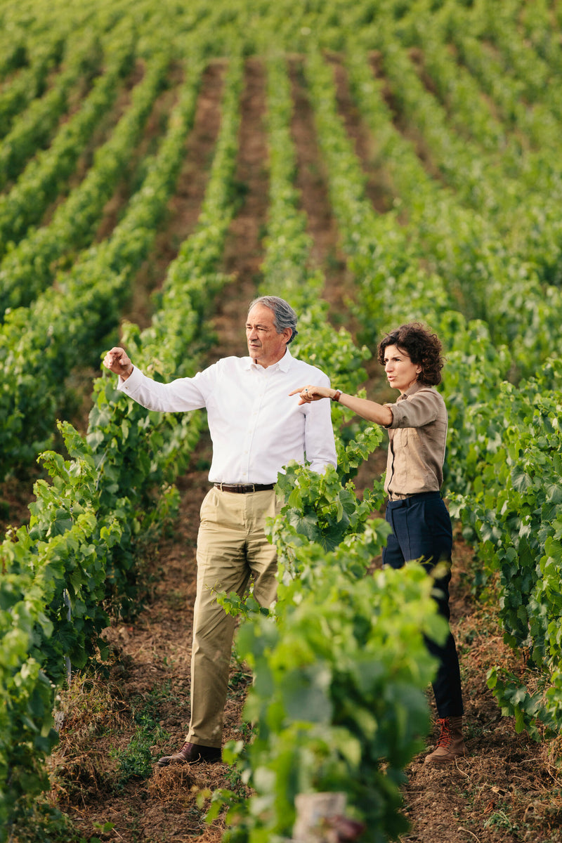 Champagne Bruno Paillard