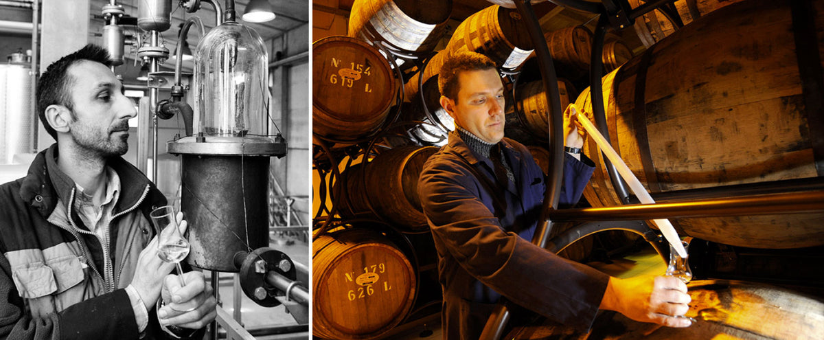 Distilleria Sibona