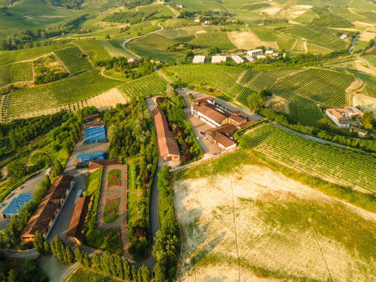 Distillerie Berta