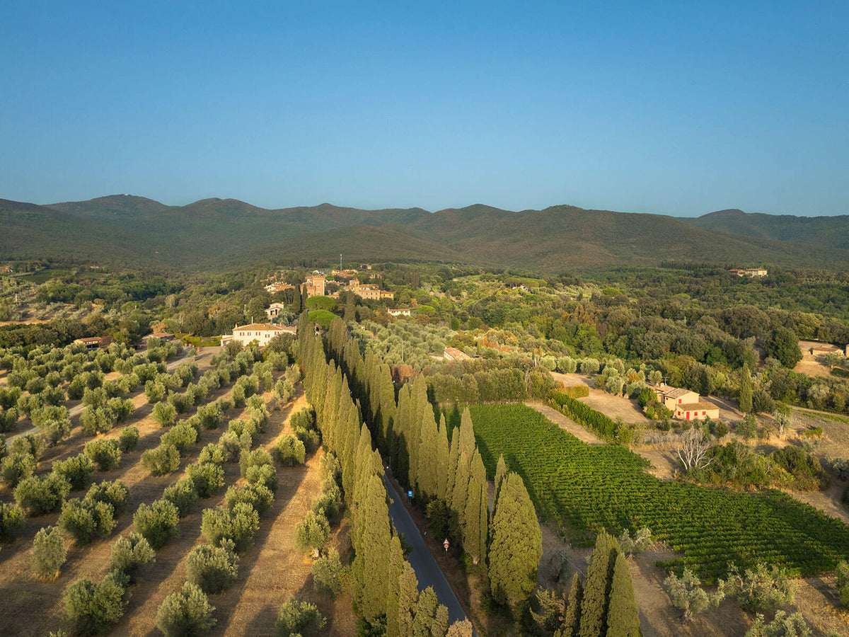 Ornellaia