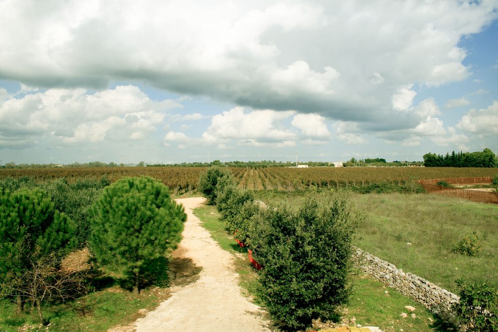 Agricole Pietraventosa