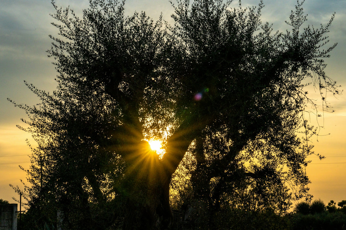 Puglia