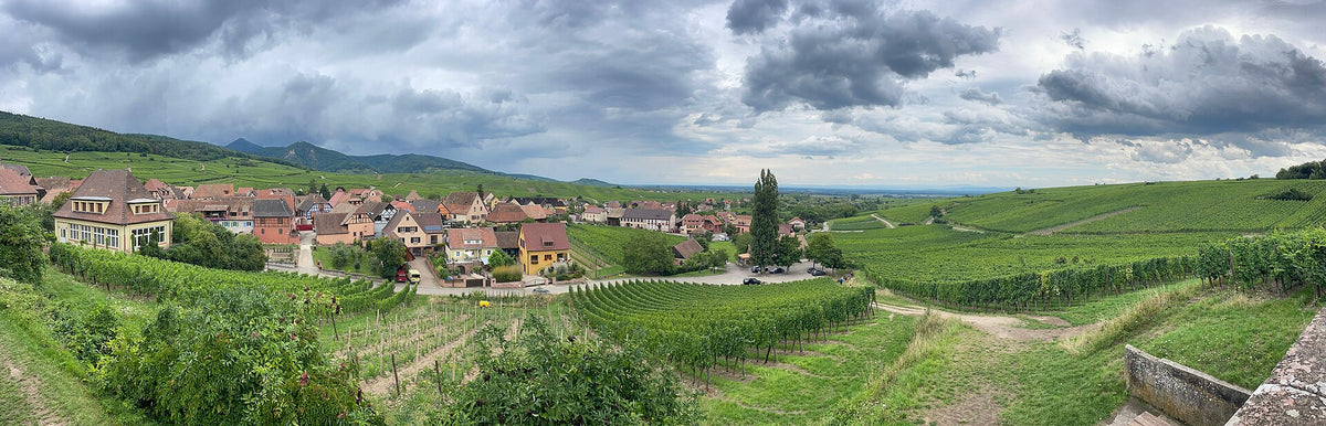 Alsace