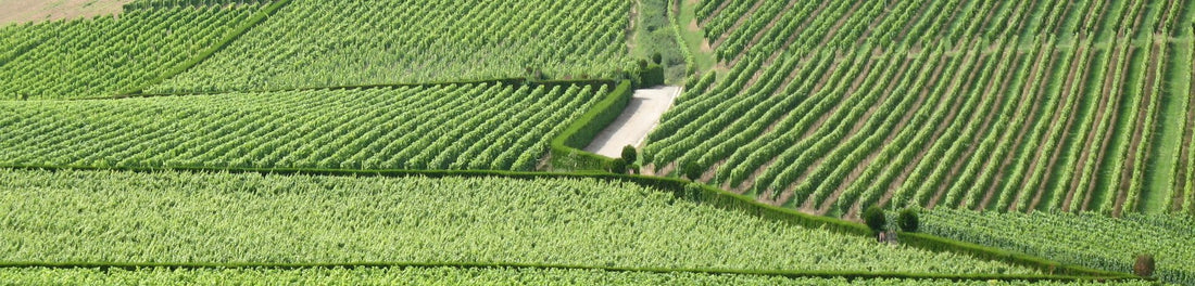 Alsace