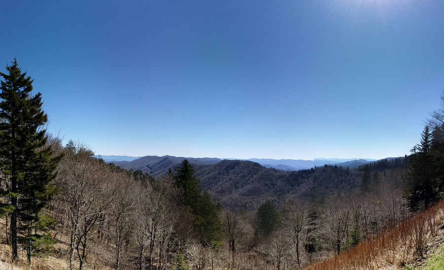 Tennessee